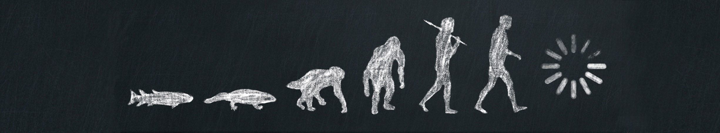 A chalkboard drawing of Darwins evolution of man used to show the parrallels between human evolution and the evolution of the alarm monitoring business from casual to a professional alarm monitoring service industry